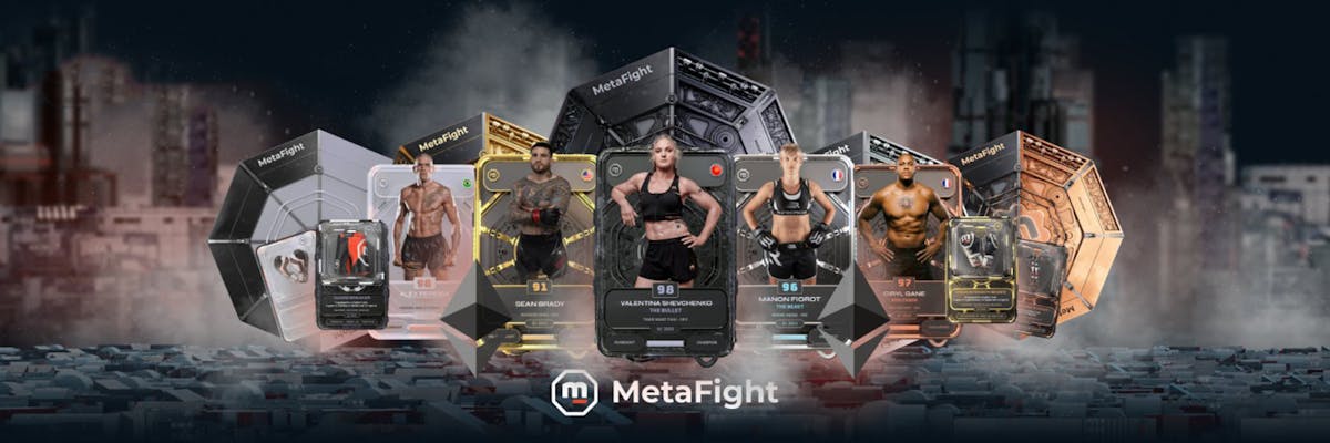 Metafight - From Concept to Reality
